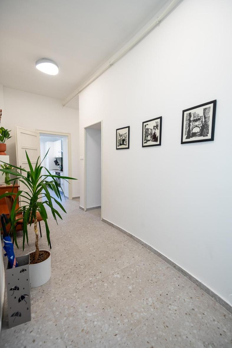 Apartment Eta - U Centru Grada